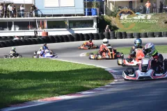 KCS_MWohlen_2026_229