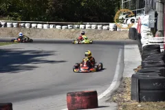 KCS_MWohlen_2026_362
